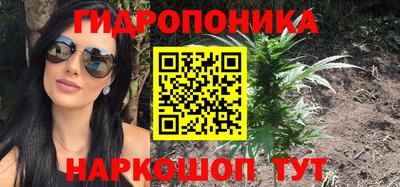 молекула духа Тверь